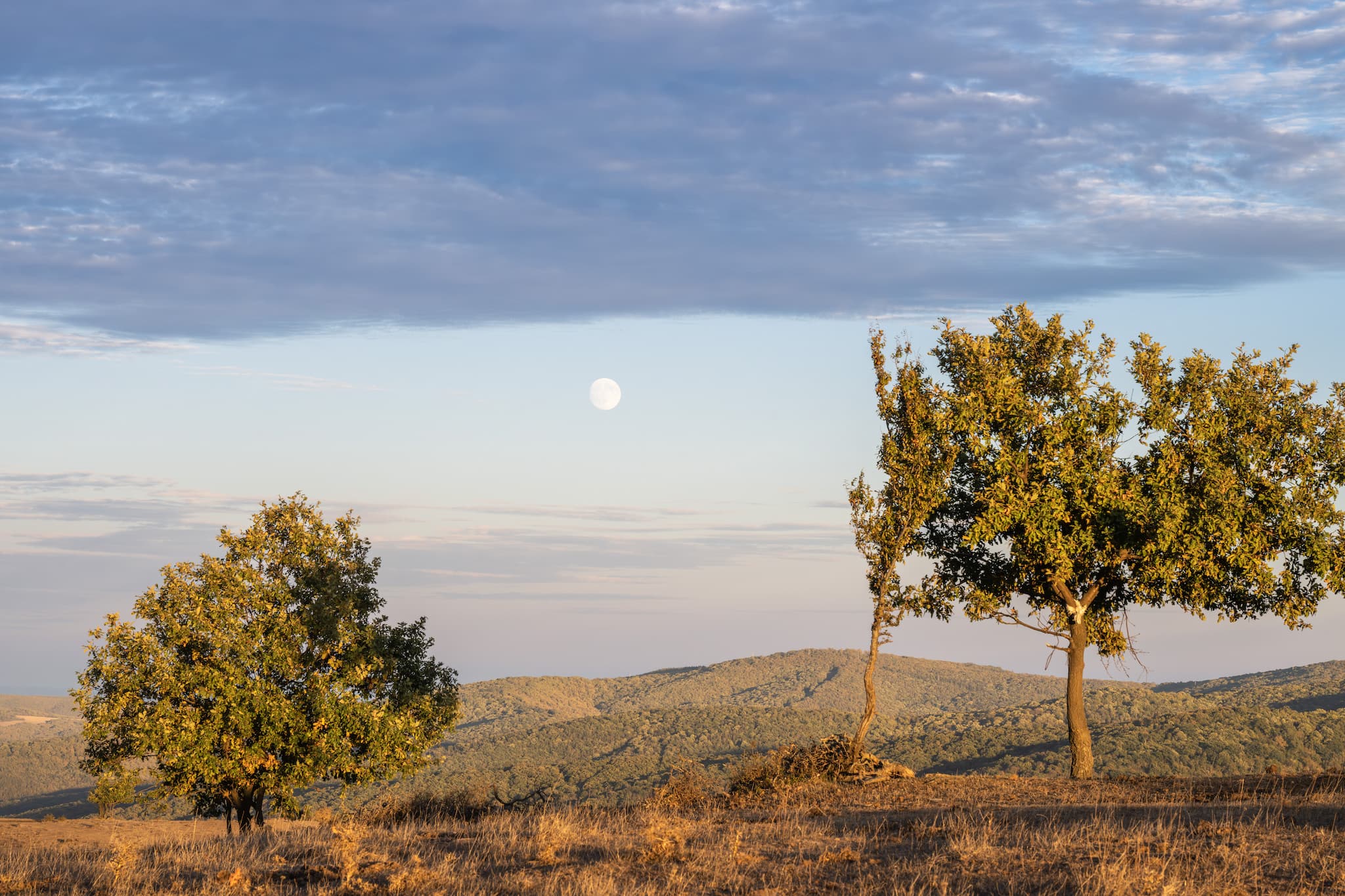 Beautiful landscape of Bulgaria, captured during our tours.