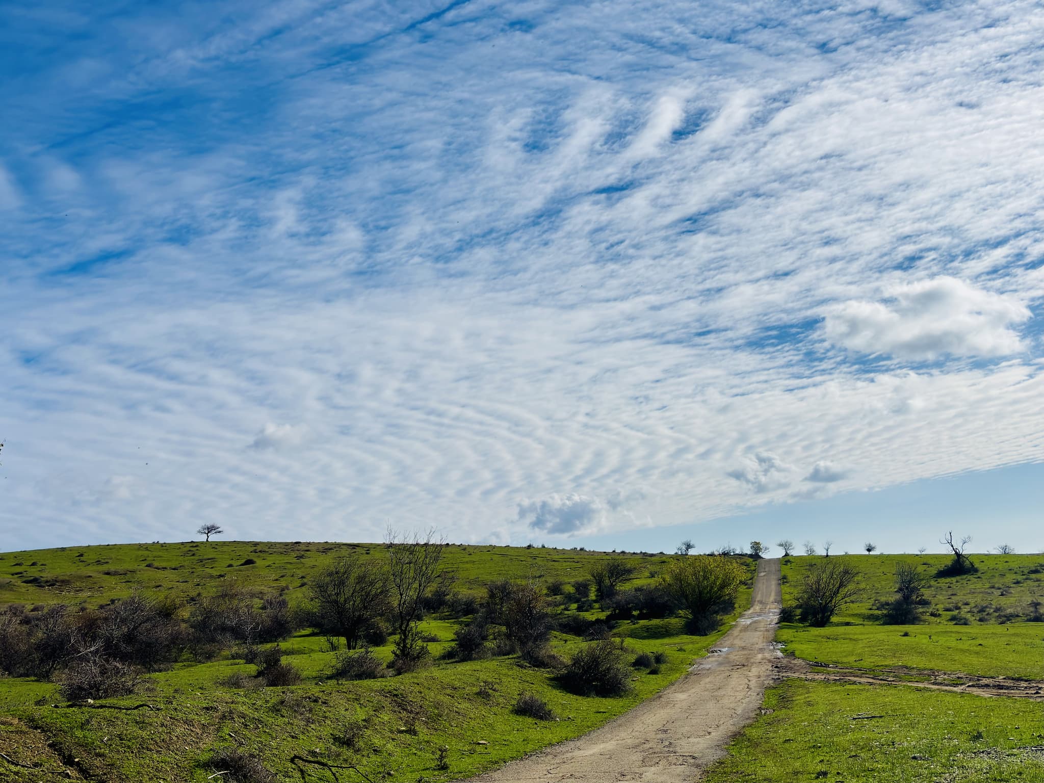 Beautiful landscape of Bulgaria, captured during our tours.